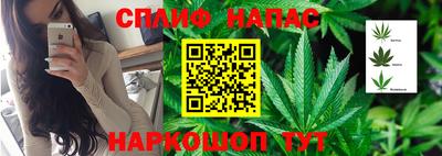ECSTASY Славгород