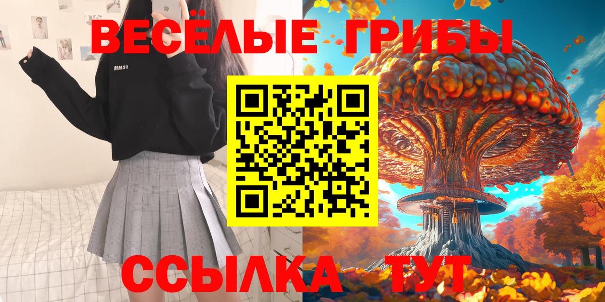 Галлюциногенные грибы мицелий  где можно купить   Псилоцибиновые грибы прущие грибы  Артём  Вход с VPN 
